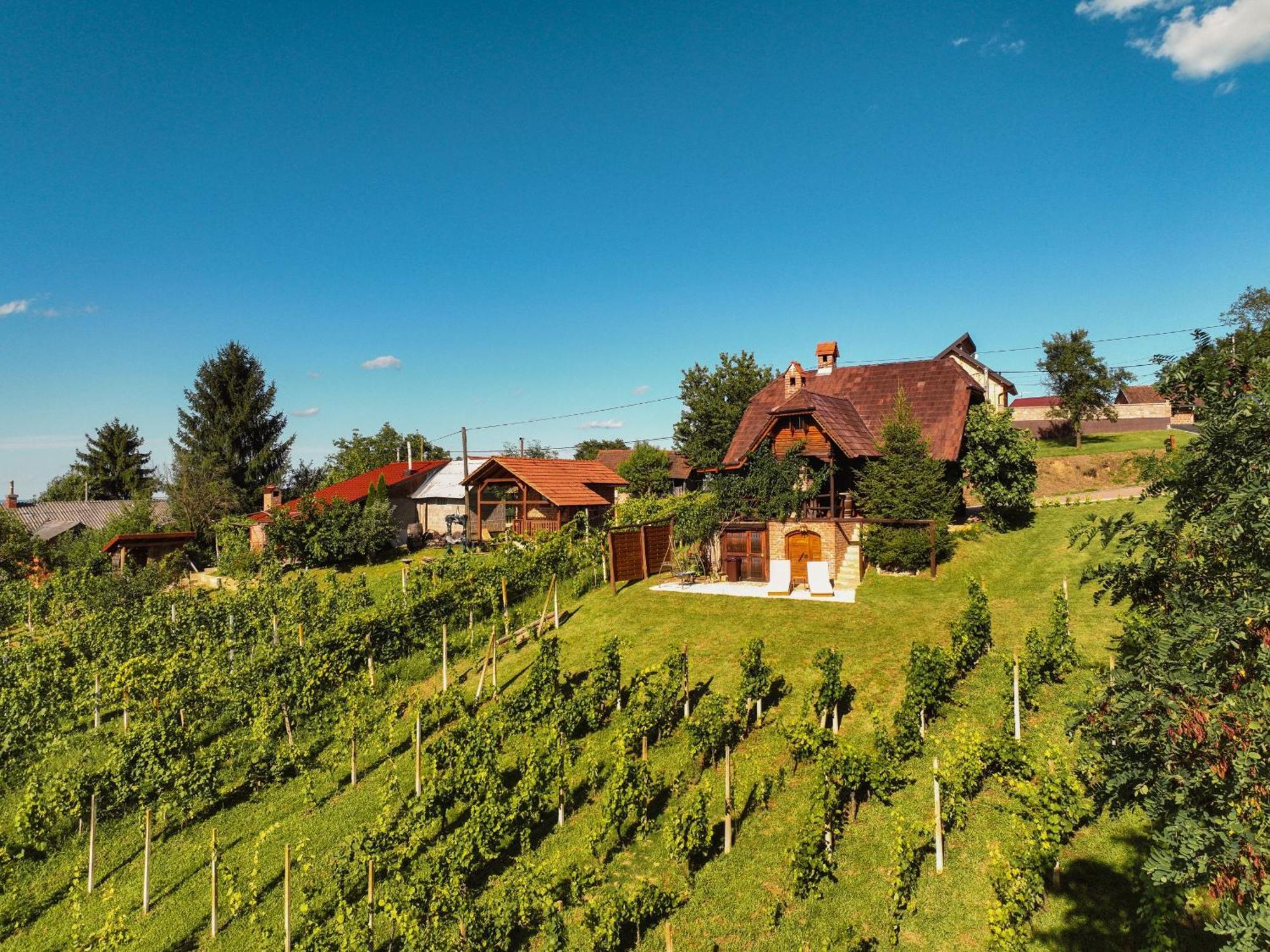 Holiday Home Wine & Relax Sveti Martin Na Muri Felsővéghegy Kültér fotó